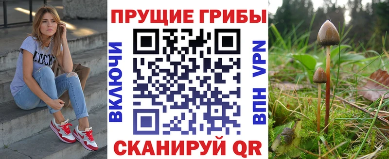 ссылка на мегу   Петушки  Галлюциногенные грибы GOLDEN TEACHER 